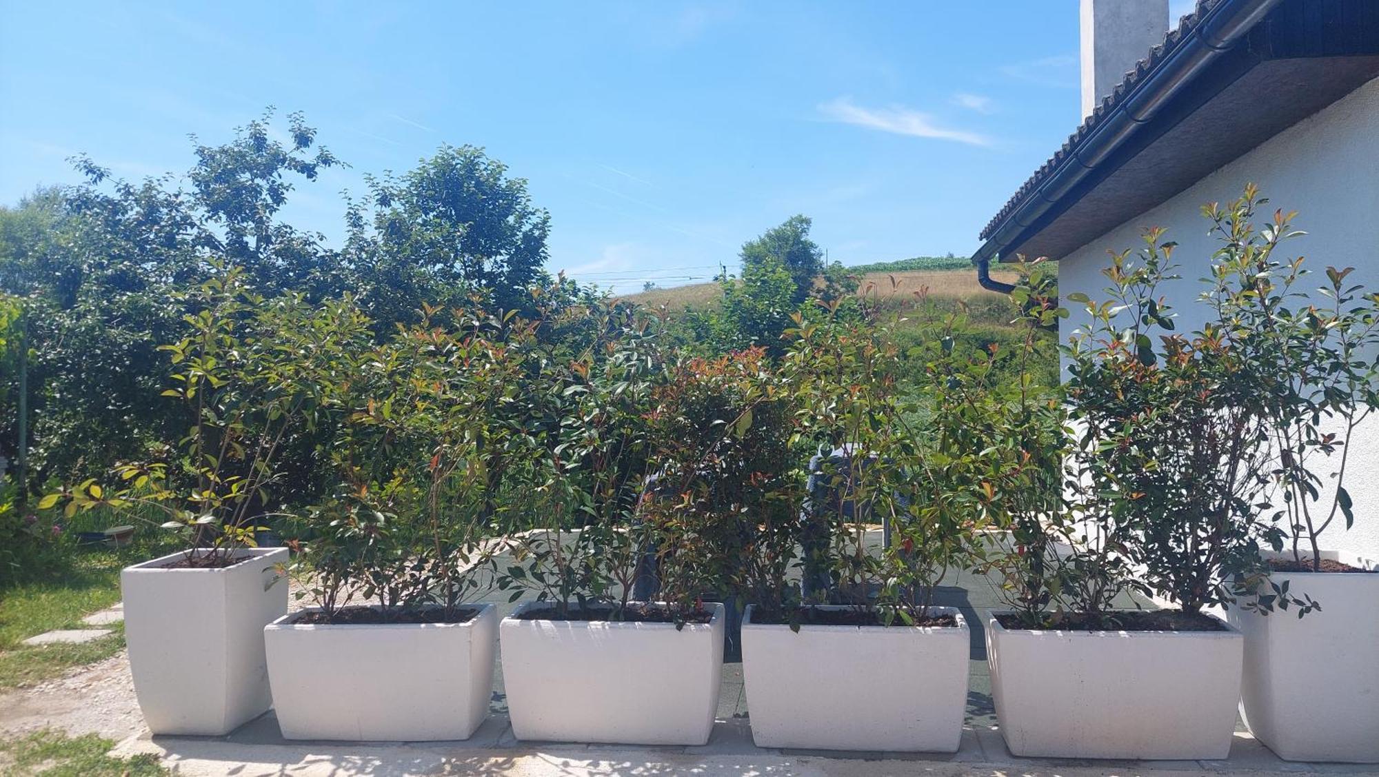 Kod Ane Apartment Belavici Ngoại thất bức ảnh